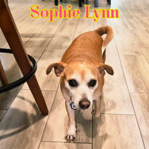 Sophie Lynn photo 4
