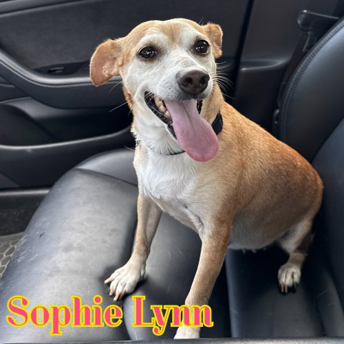 Sophie Lynn photo 2