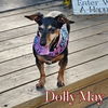 Dolly May