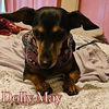 Dolly May