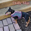 Dolly May