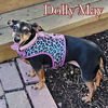Dolly May
