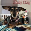Dolly May