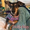 Dolly May