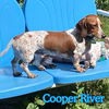 Cooper River