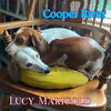 Cooper River
