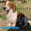 Cooper River