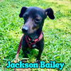 Jackson Bailey