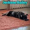 Jackson Bailey