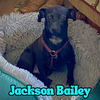 Jackson Bailey