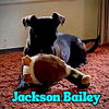 Jackson Bailey