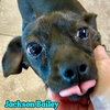 Jackson Bailey - Photo 6
