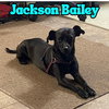 Jackson Bailey - Photo 4