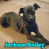 Jackson Bailey - Photo 20