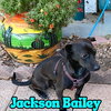 Jackson Bailey - Photo 2