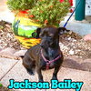 Jackson Bailey - Photo 21
