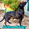 Jackson Bailey - Photo 22
