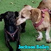 Jackson Bailey - Photo 24