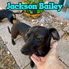 Jackson Bailey - Photo 25