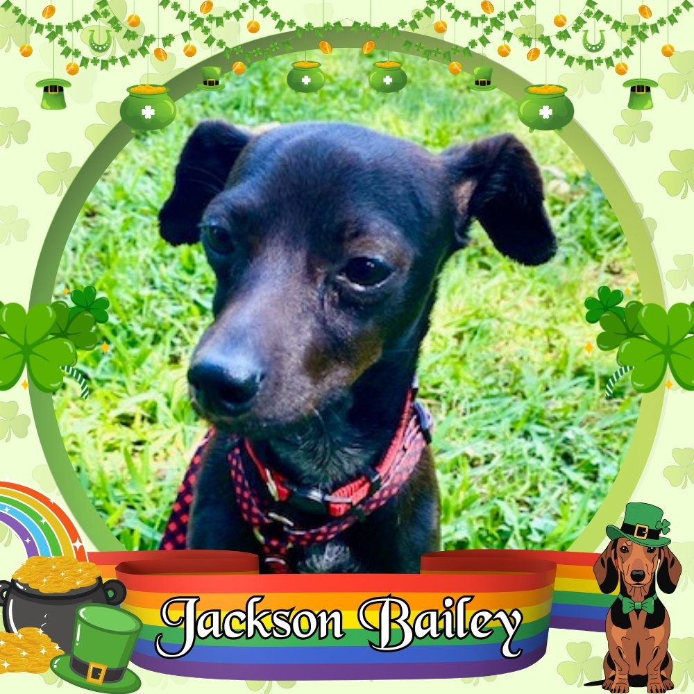 Jackson Bailey