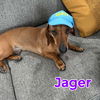 Jager Reed