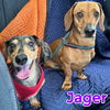 Jager Reed