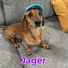 Jager Reed