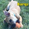 Barq's Root Beer - Photo 7