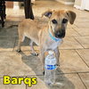 Barq's Root Beer - Photo 5