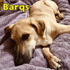 Barq's Root Beer - Photo 3