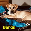 Barq's Root Beer - Photo 4