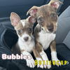 Bubbles Mae