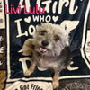 Livi Lulu - Photo 3