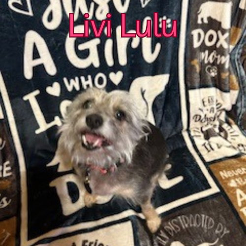 Livi Lulu, photo 10