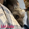 Livi Lulu - Photo 8