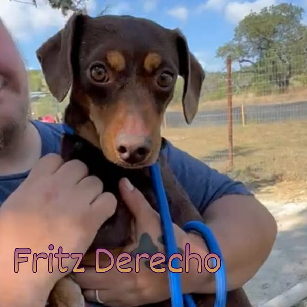 Fritz Derecho