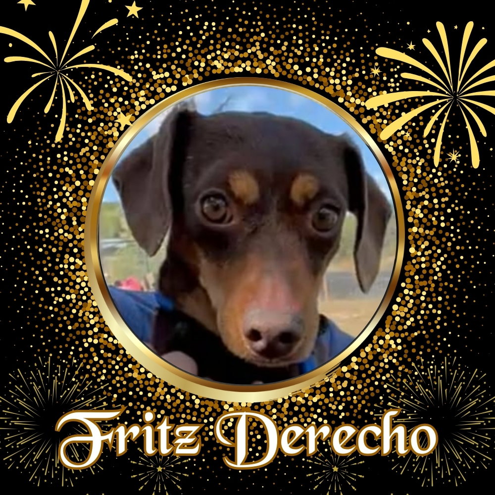 Fritz Derecho