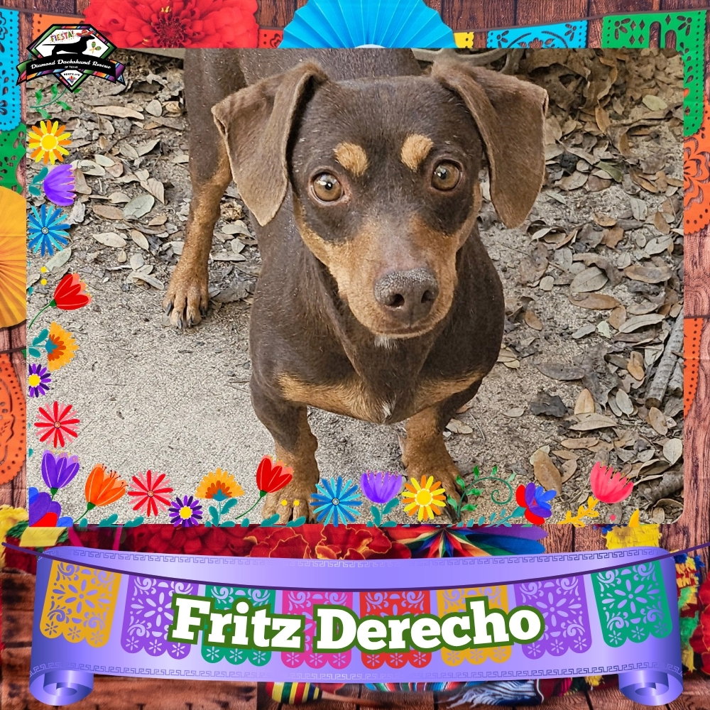 Fritz Derecho