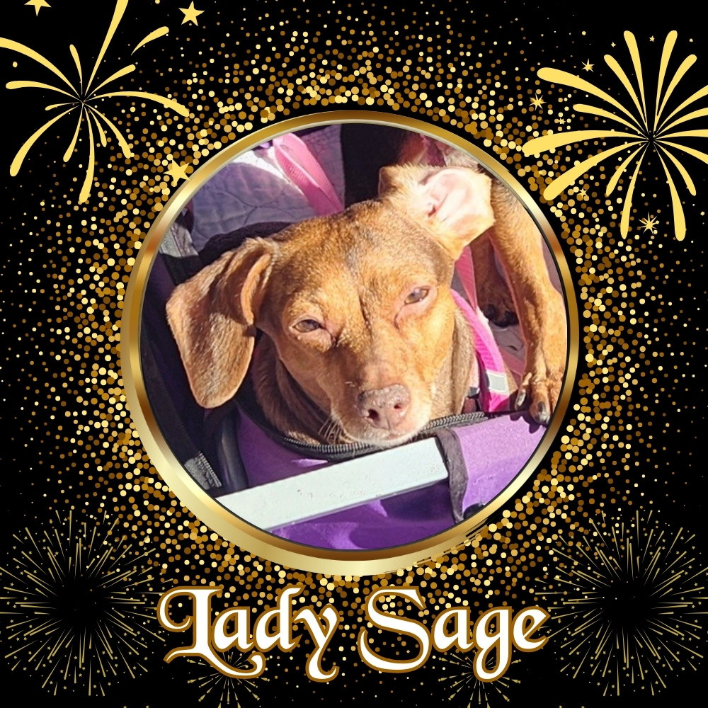 Lady Sage