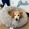 Jimbo - Photo 3