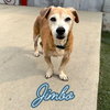 Jimbo - Photo 10