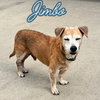 Jimbo - Photo 11