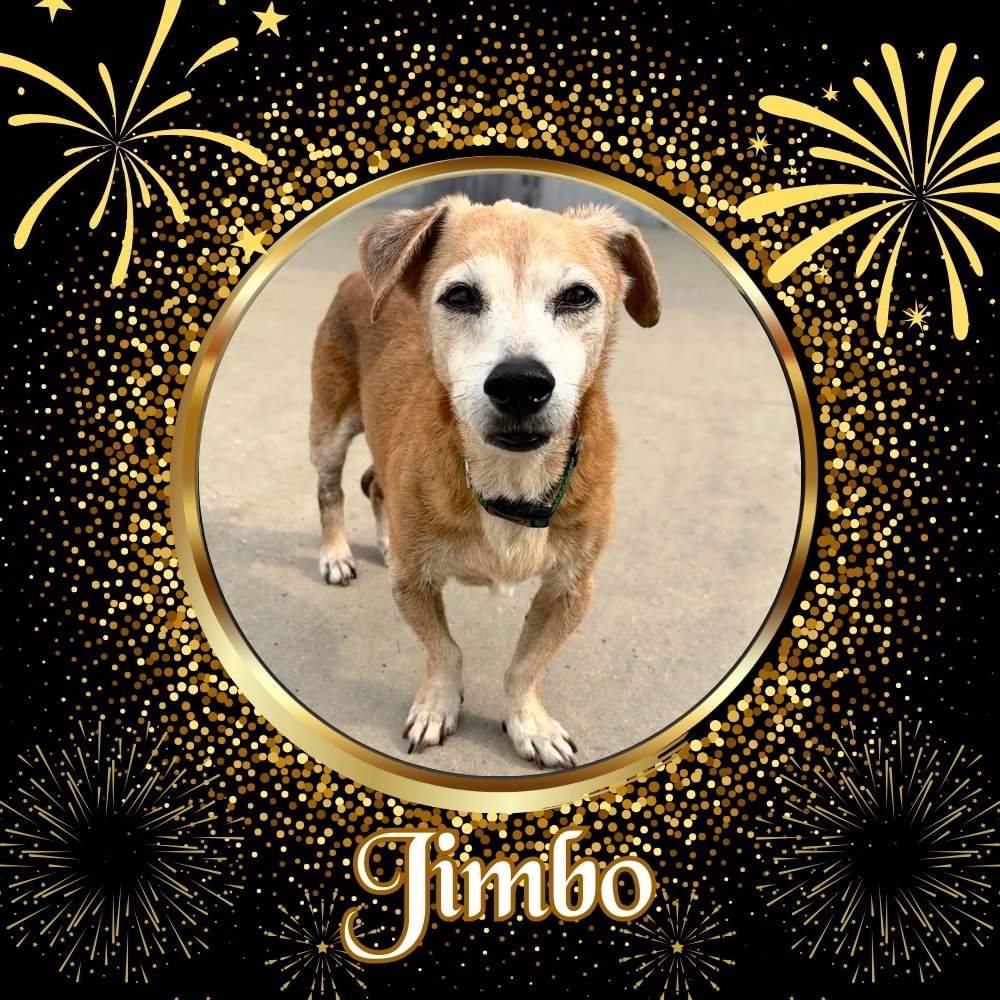 Jimbo