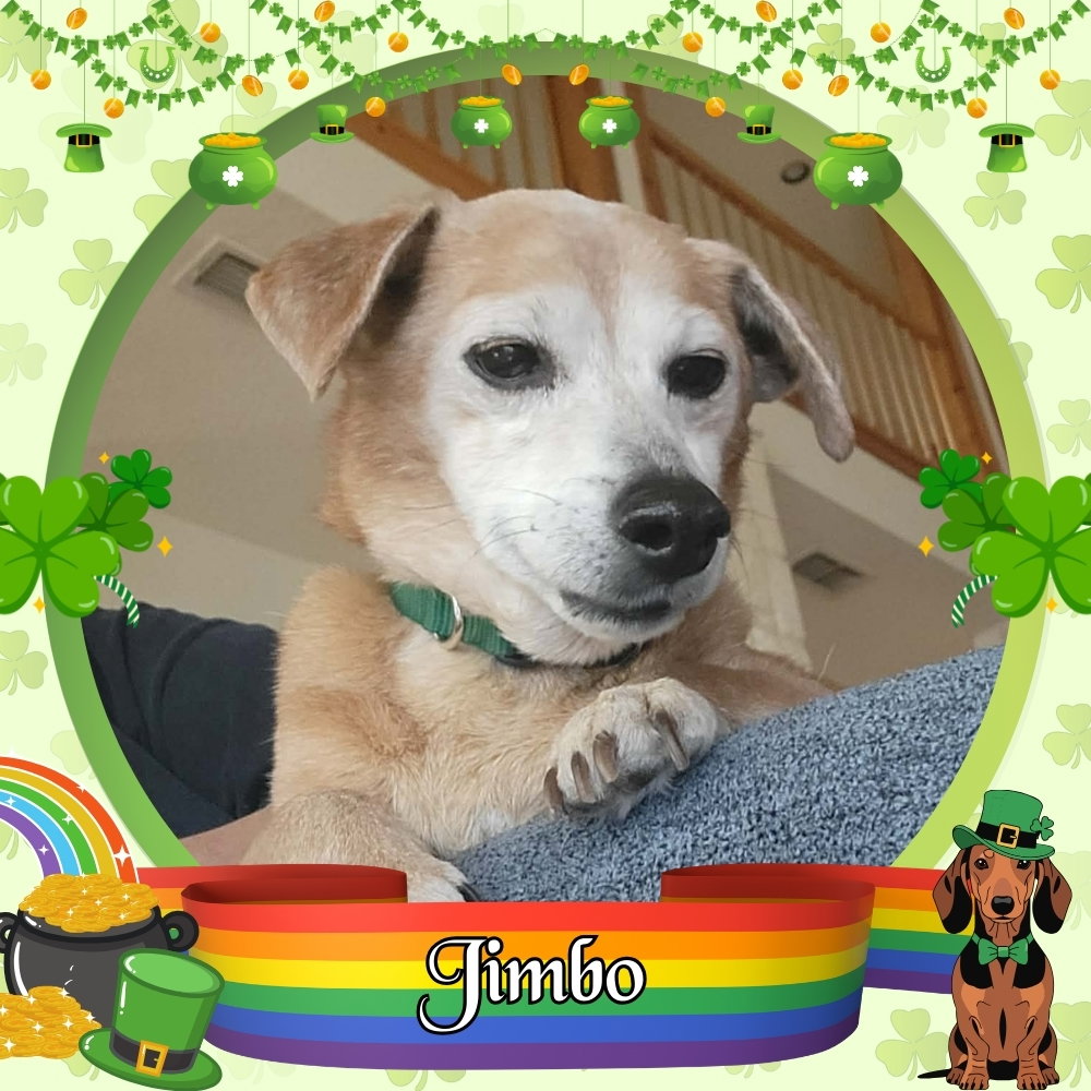 Jimbo