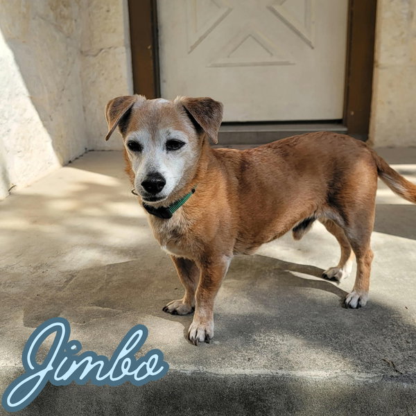 Jimbo