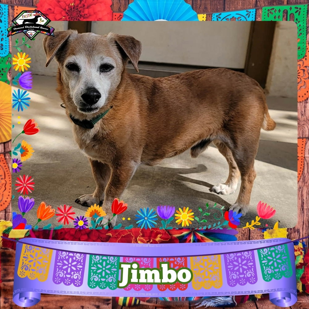 Jimbo