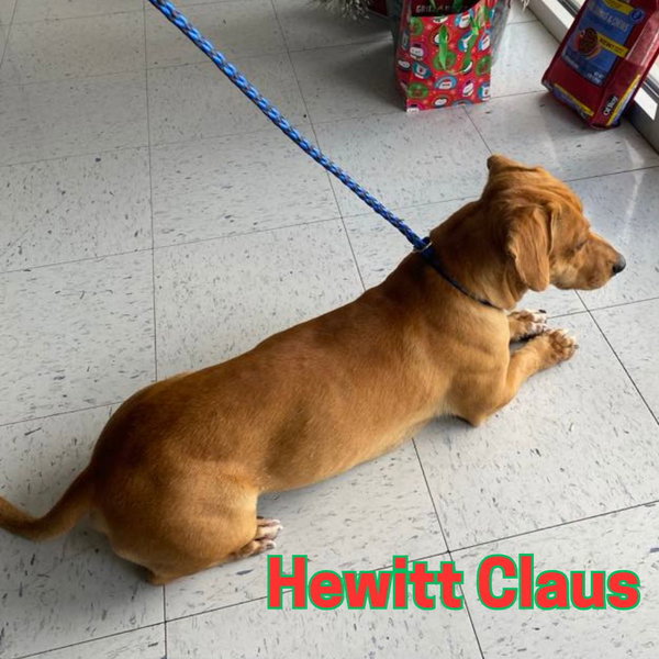 Hewitt Claus