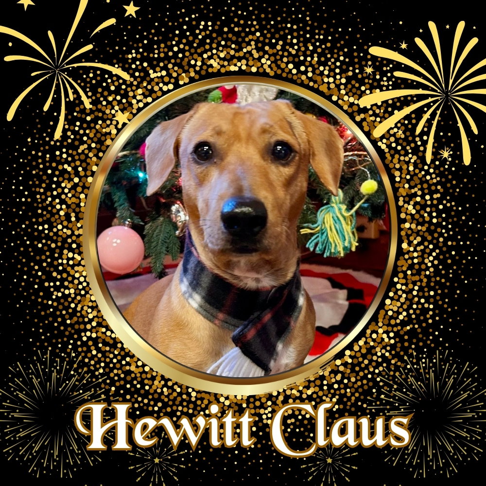 Hewitt Claus
