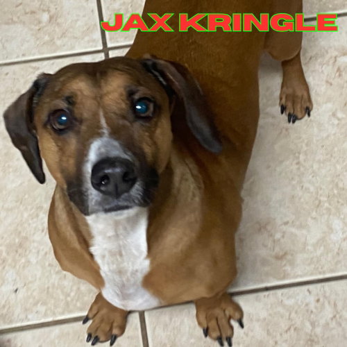 Jax Kringle photo 6