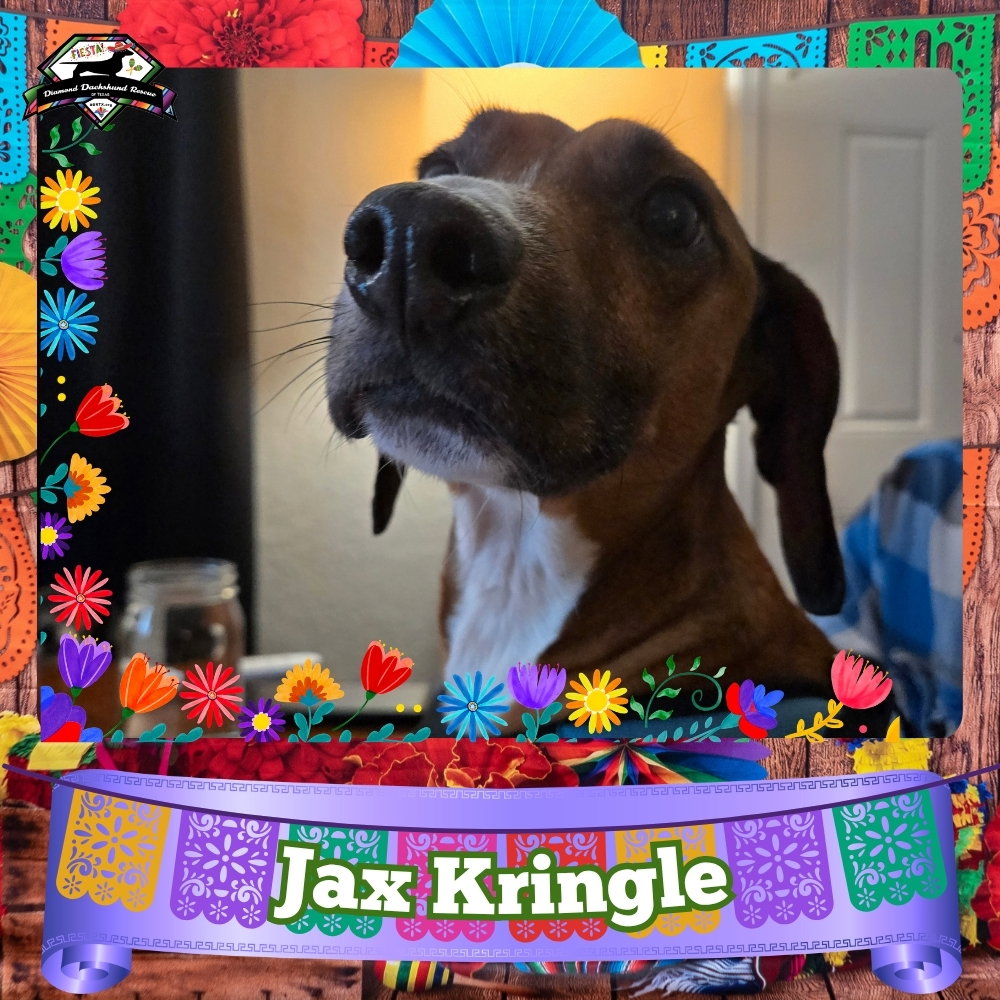 Jax Kringle